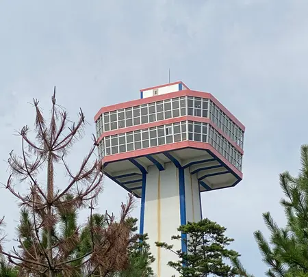 東尋坊の写真・動画_image_382857