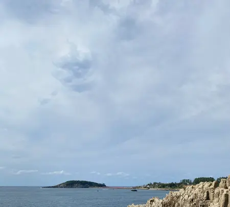 東尋坊の写真・動画_image_382863