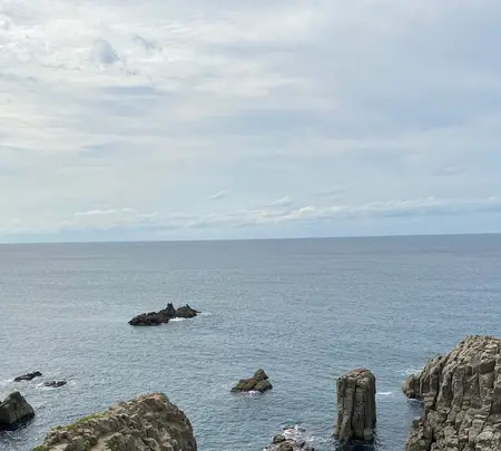 東尋坊の写真・動画_image_382864