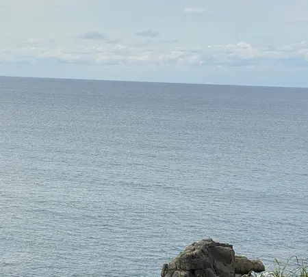 東尋坊の写真・動画_image_382865