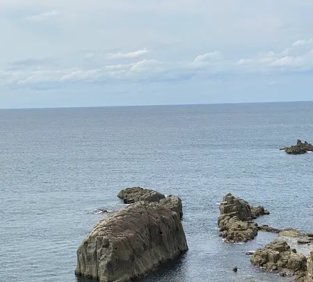 東尋坊の写真・動画_image_382866