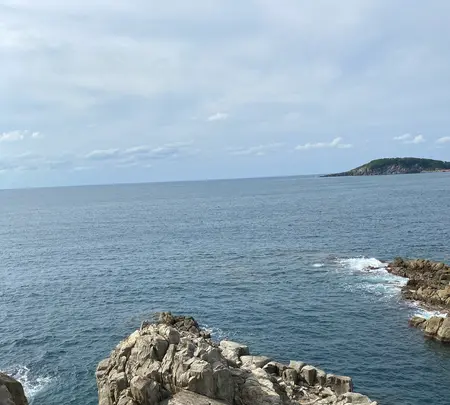 東尋坊の写真・動画_image_382867