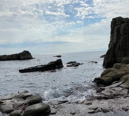 東尋坊の写真・動画_image_382868