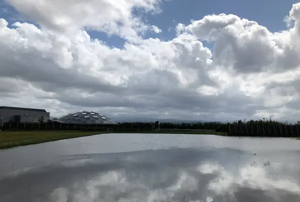 ショウナイホテル スイデンテラス | SHONAI HOTEL SUIDEN TERRASSEの写真・動画_image_382909