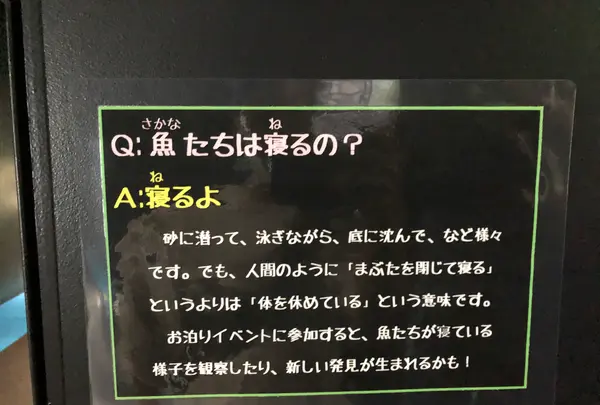鶴岡市立加茂水族館（クラゲドリーム館）の写真・動画_image_382930