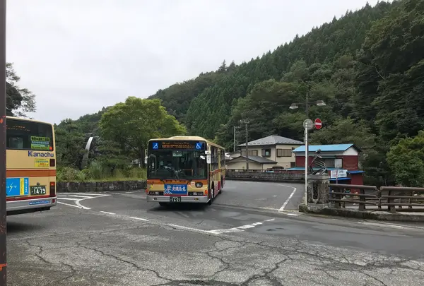 阿夫利神社 下社の写真・動画_image_383175