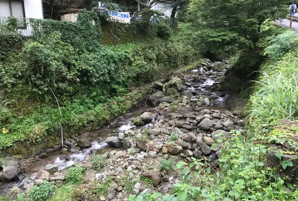 阿夫利神社 下社の写真・動画_image_383179