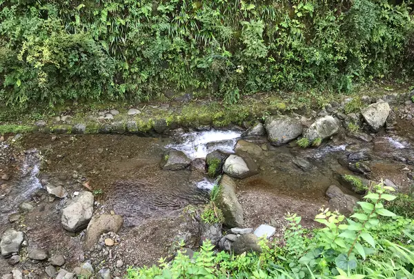 阿夫利神社 下社の写真・動画_image_383180