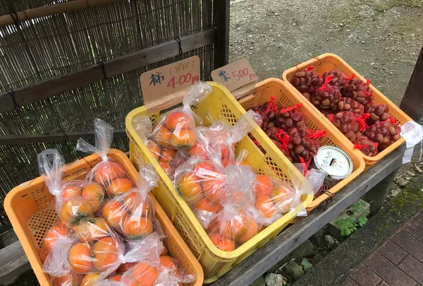 阿夫利神社 下社の写真・動画_image_383182
