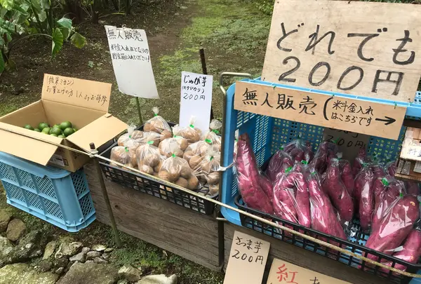 阿夫利神社 下社の写真・動画_image_383192