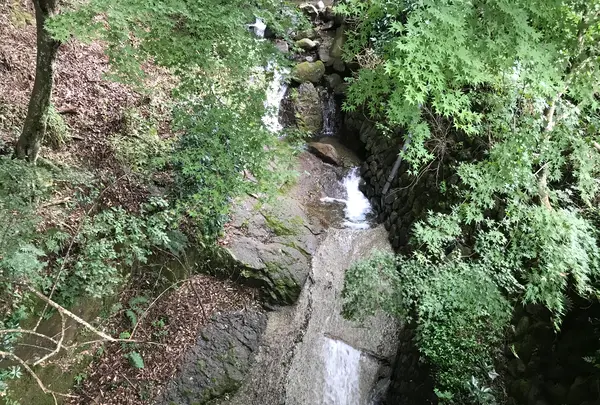 阿夫利神社 下社の写真・動画_image_383197