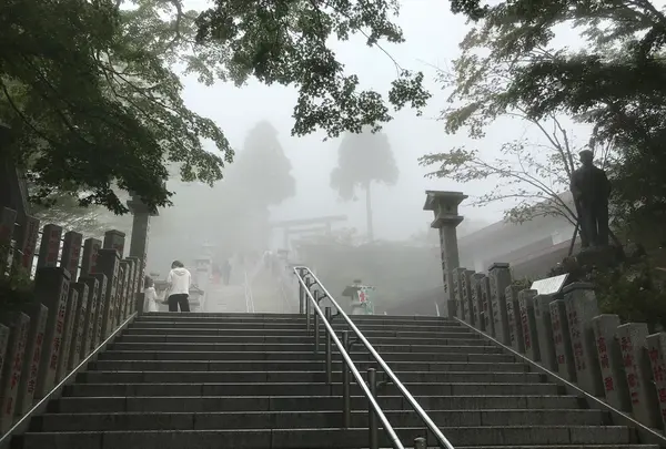 阿夫利神社 下社の写真・動画_image_383248
