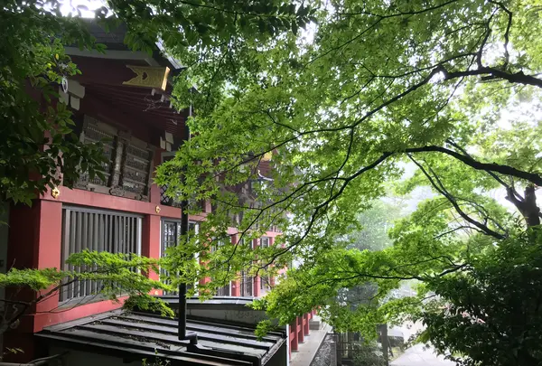 阿夫利神社 下社の写真・動画_image_383259