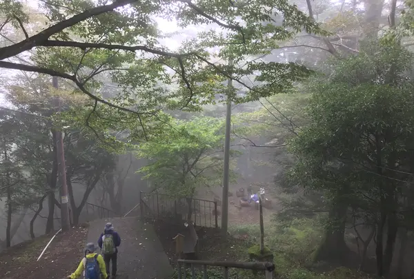 阿夫利神社 下社の写真・動画_image_383269
