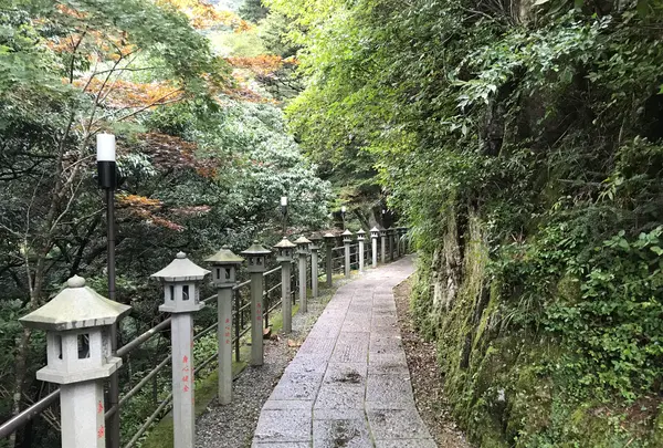 阿夫利神社 下社の写真・動画_image_383275