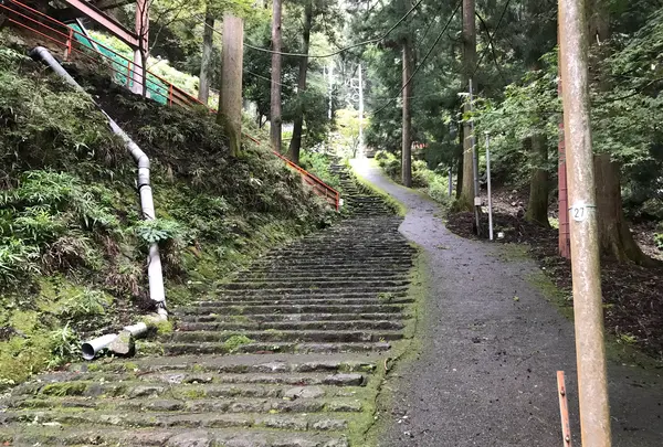 阿夫利神社 下社の写真・動画_image_383278