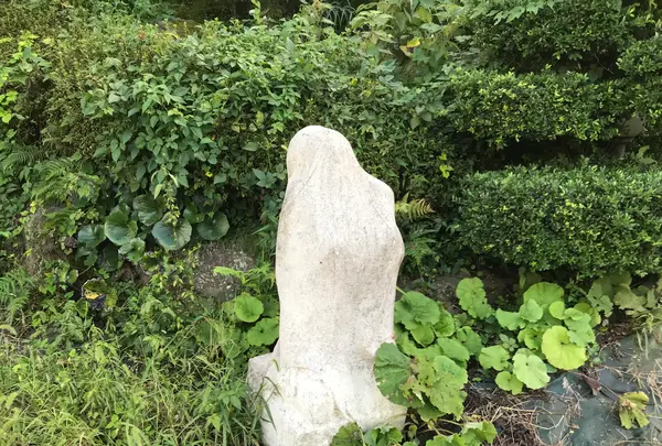 七沢荘の写真・動画_image_383347