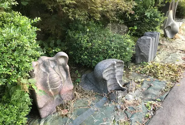 七沢荘の写真・動画_image_383348