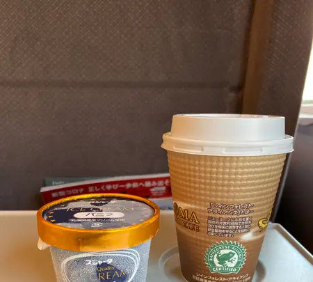 東海道新幹線京都駅東京方面行きホームの写真・動画_image_383361