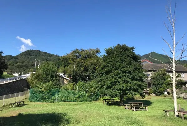 七沢荘の写真・動画_image_383752