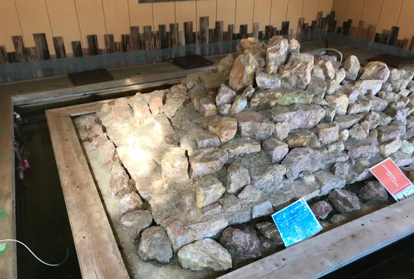 七沢荘の写真・動画_image_383781