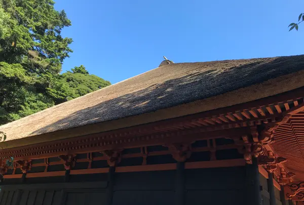 宝城坊日向薬師の写真・動画_image_383793