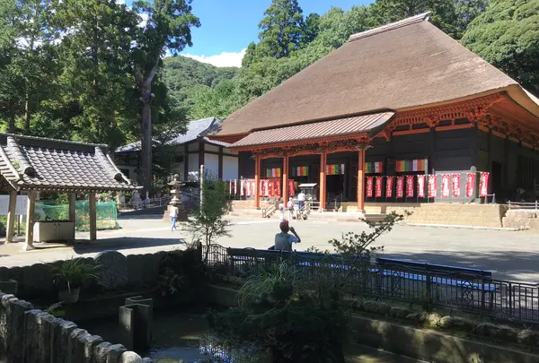 宝城坊日向薬師の写真・動画_image_383799