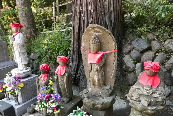 宝城坊日向薬師の写真・動画_image_383800