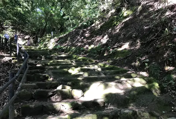 宝城坊日向薬師の写真・動画_image_383805