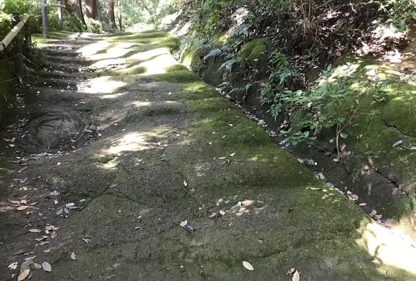 宝城坊日向薬師の写真・動画_image_383808