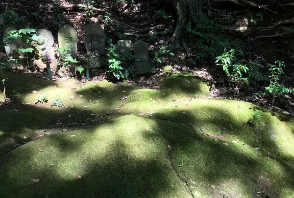 宝城坊日向薬師の写真・動画_image_383811