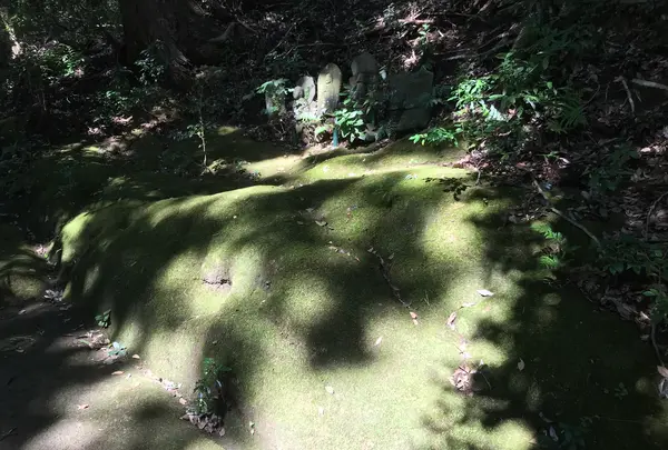 宝城坊日向薬師の写真・動画_image_383812