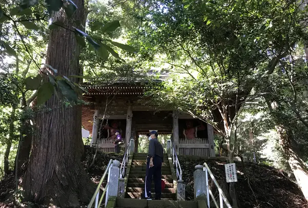 宝城坊日向薬師の写真・動画_image_383819