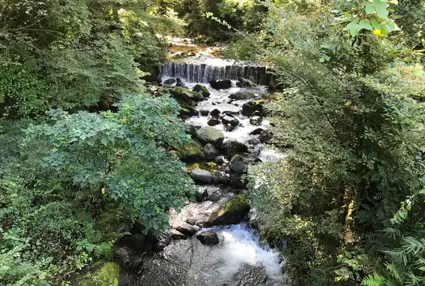 彼岸花の里の写真・動画_image_383883