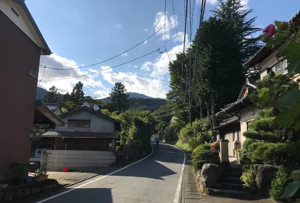 彼岸花の里の写真・動画_image_383892