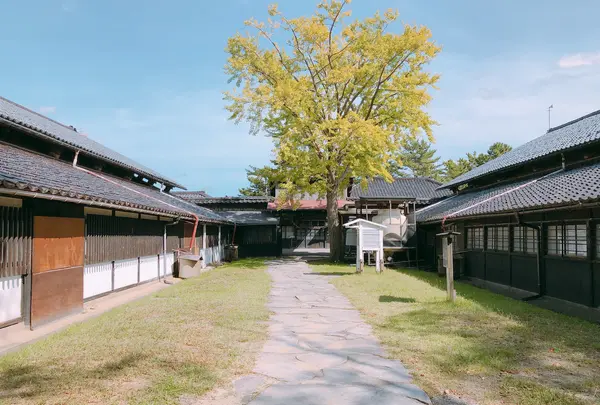 山居倉庫の写真・動画_image_383951