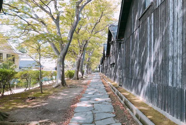 山居倉庫の写真・動画_image_383954