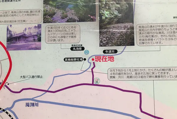 丸池様の写真・動画_image_383955