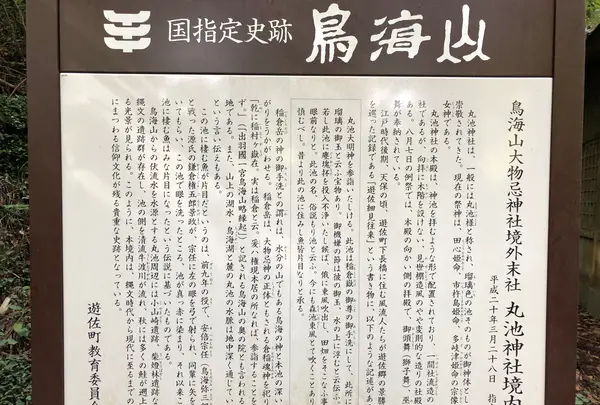 丸池様の写真・動画_image_383956