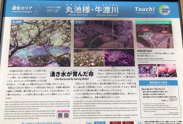 丸池様の写真・動画_image_383957