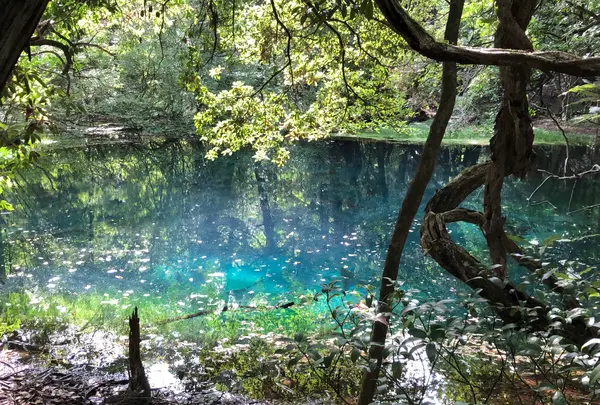 丸池様の写真・動画_image_383970