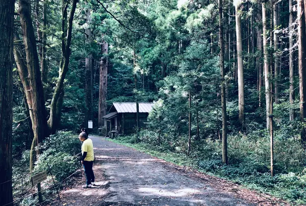 丸池様の写真・動画_image_383974