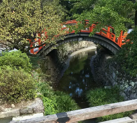 下鴨神社（賀茂御祖神社）の写真・動画_image_384009