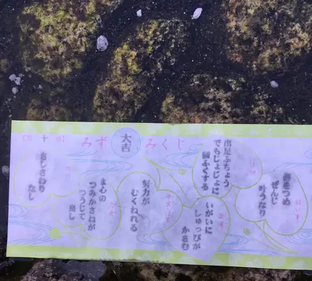 下鴨神社（賀茂御祖神社）の写真・動画_image_384010