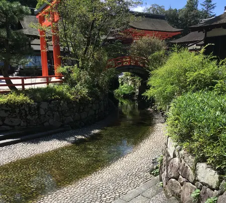 下鴨神社（賀茂御祖神社）の写真・動画_image_384019