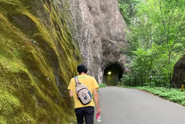 鬼怒楯岩大吊橋の写真・動画_image_384152