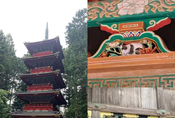 日光東照宮の写真・動画_image_384163