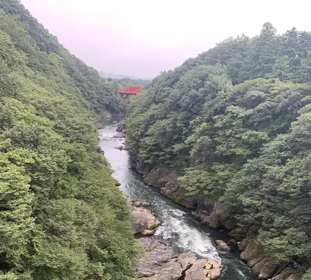 高津戸峡遊歩道の写真・動画_image_384188