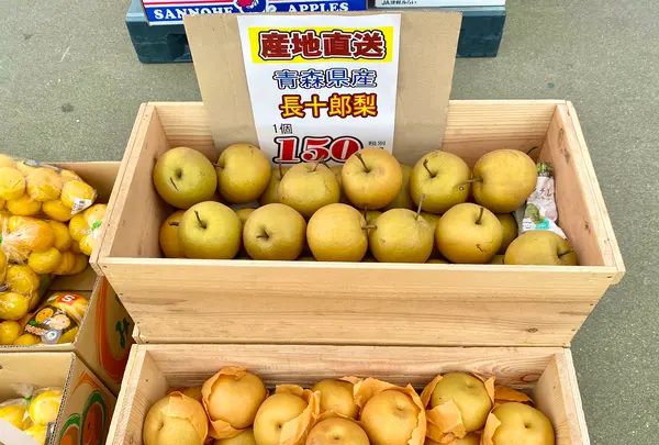 道の駅 三滝堂の写真・動画_image_384617