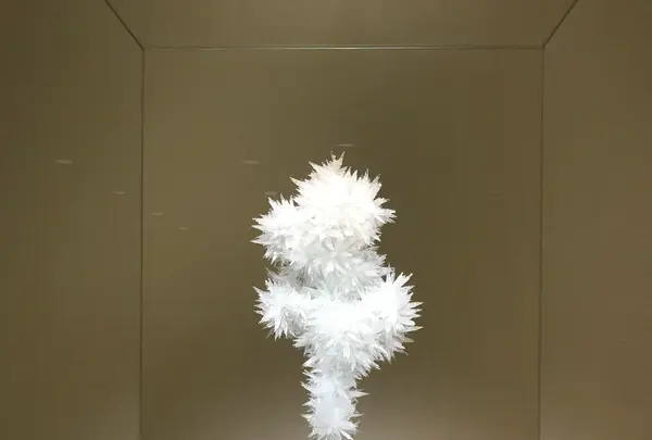東京都現代美術館の写真・動画_image_384645